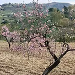 Rifugio Contemporaneo *