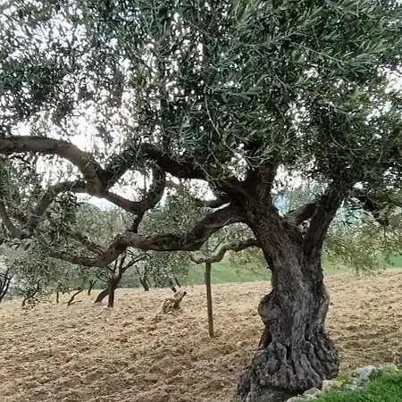 Rifugio Contemporaneo Villa