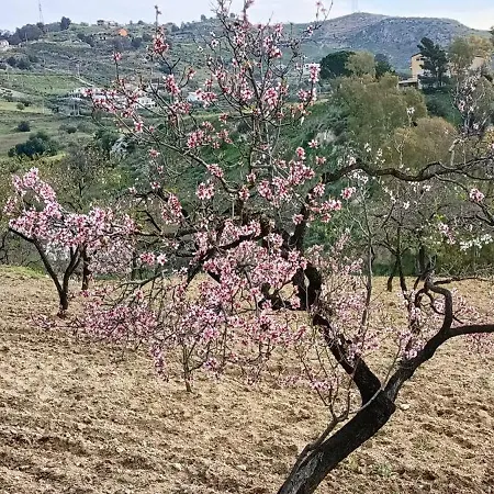 Rifugio Contemporaneo *